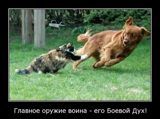 Моя красотка