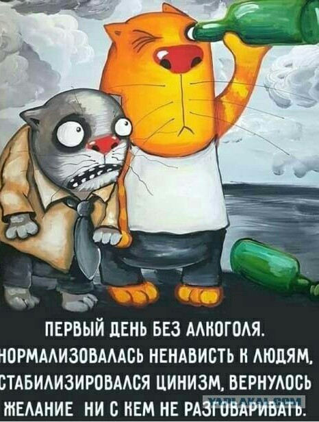 Кулинария: Шаурма по-Израильски