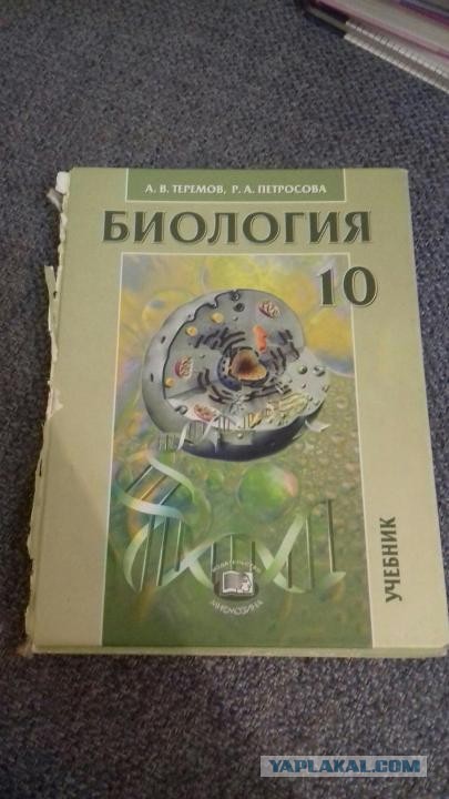 Вакцинация в один укол