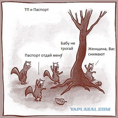 Буйная девушка: Эй мент, давай сюда мой паспорт!