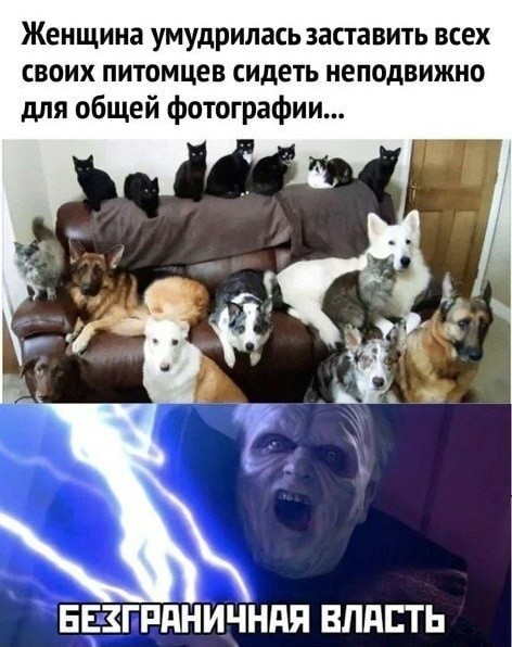 Выстраданное...