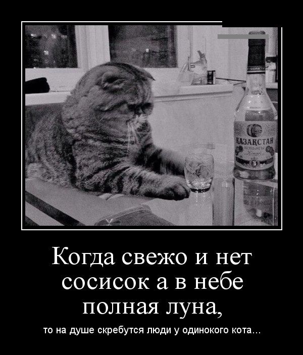 Забавные факты об Иисусе