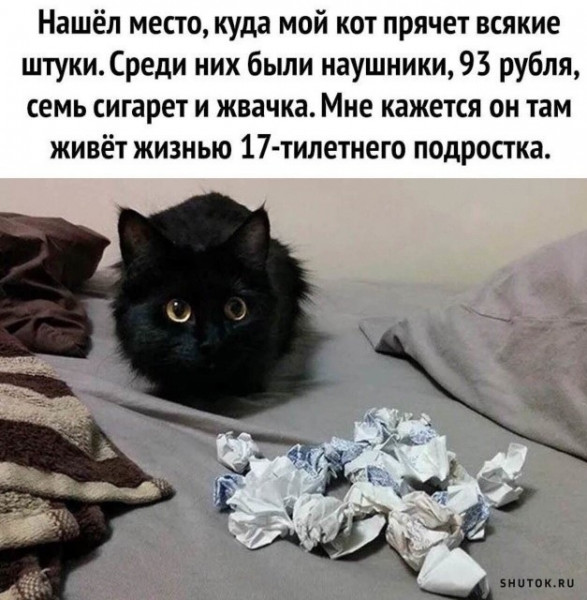 Так себе картинки 11.10.21