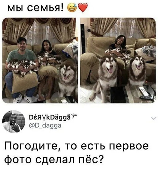 Картинки и мемы для настроения 01.12.2021