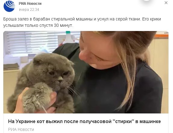 Вот она, циничная жестокость