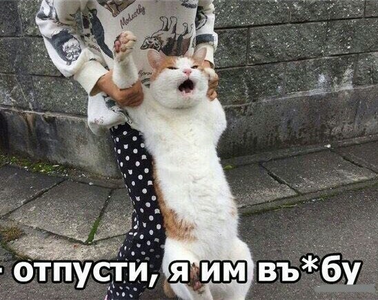 SSL сетификаты всё