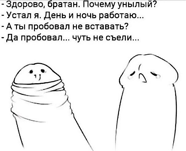Так себе картинки 23.04.22