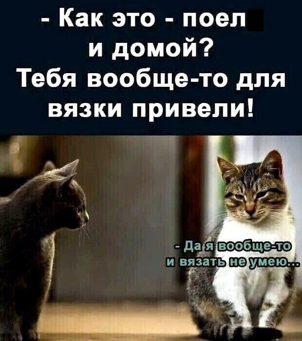 Картинки и мемы, всем хороших выходных
