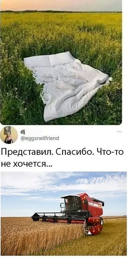 Скриншоты и комментарии из социальных сетей 04.09.22