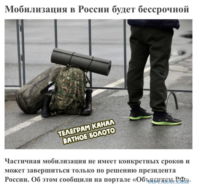 Пандемия съехавших крыш - разновидности болезни. Россия и мир. Часть 43.