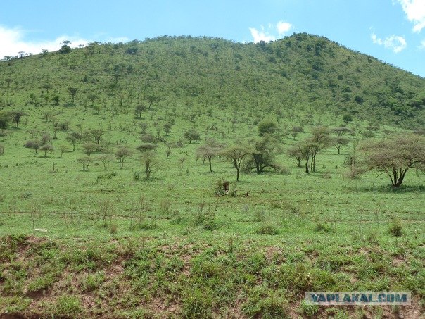 AFRICA - (Эфиопия,Кения,Танзация) 4-16 ноября 2011