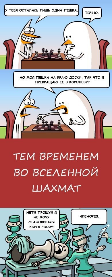 Народная меДИЧина 5024