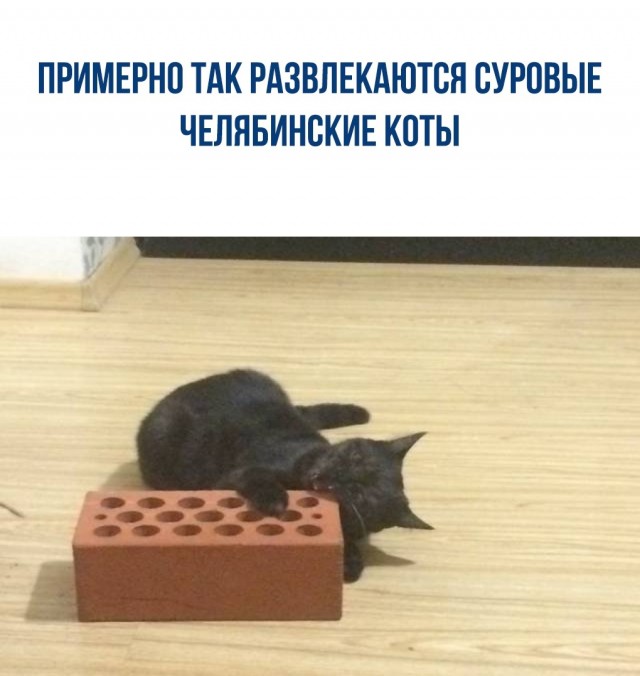 Картинки и мемы, всем хороших выходных