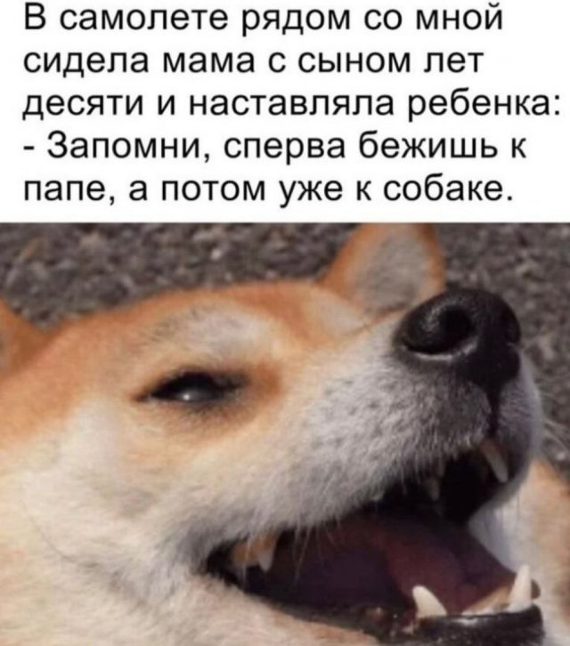 Немного картинок для настроения - 161