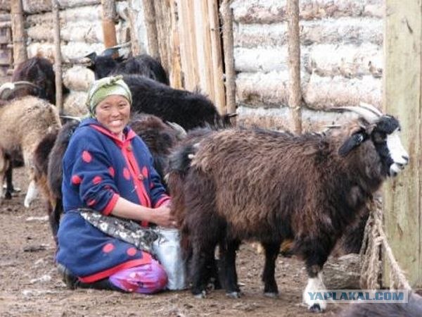 Убежим от кризиса (10 фото)