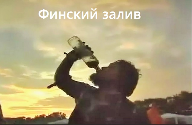В Госдуме предложили переименовать Финский залив.
