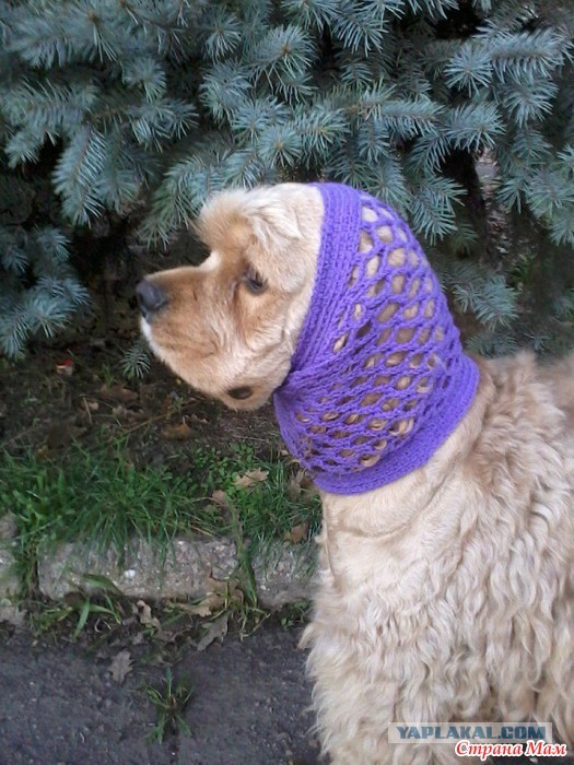 Песель