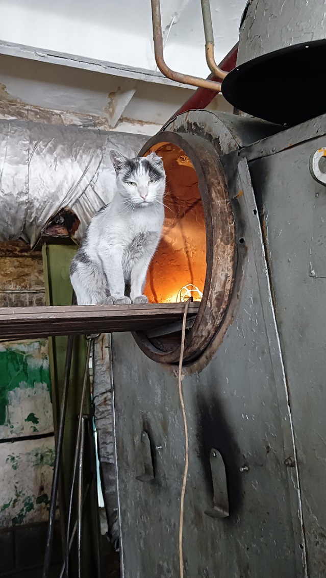 Просто про работу!