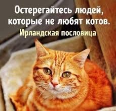 Многие не понимают...