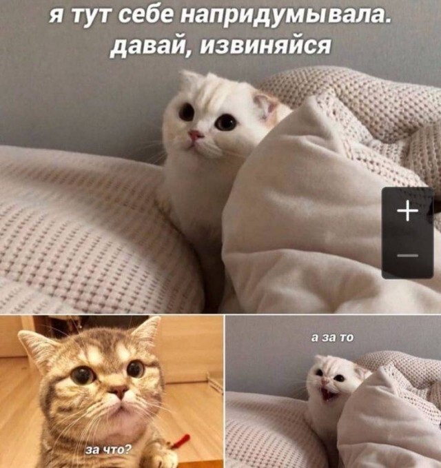 У всех одно и тоже в башке!