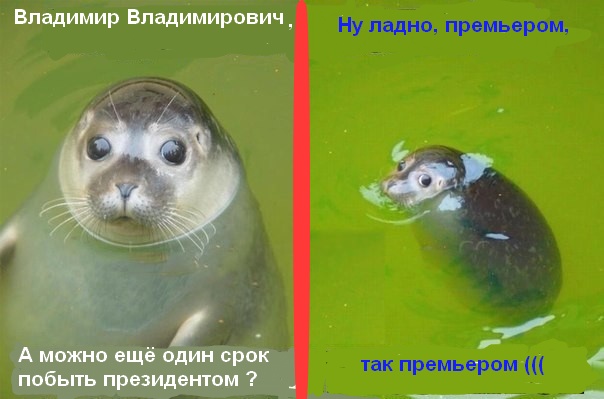А может всё-таки передумаете?