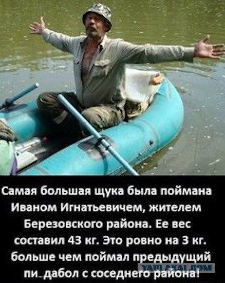 Рыба,которую при СССР хозяйки спокойно покупали килограммами и она стоила меньше рубля,а сейчас стала недоступным деликатесом.