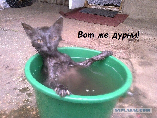 Жуткие попытки утопить 18+