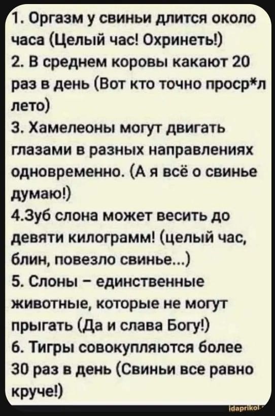Завалялось тут случайно немного забавных картинок