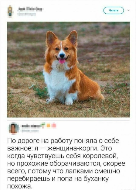 Веселый полтишок (09.07.2025)