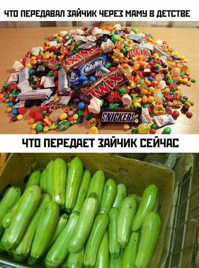 Картинки для деградации 17 (разной степени свежести)