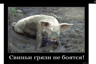 Жительница Питера показала, во что жильцы превратили её квартиру за 12 дней