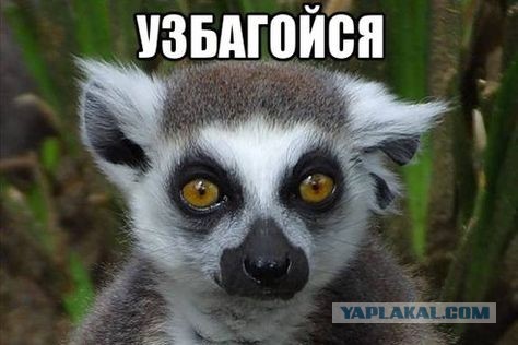 Флотилия, во главе с Гретой Тунберг, идущая с целью прорвать блокаду Сектора Газы, сегодня достигла территориальных вод Туниса