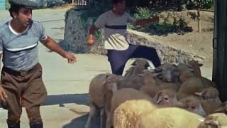 Разобрался с пробкой