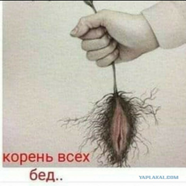 Девчата для Тонуса -123