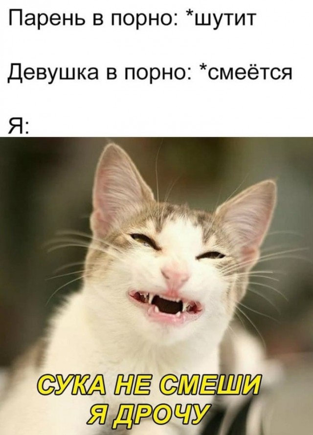 Доверили опять