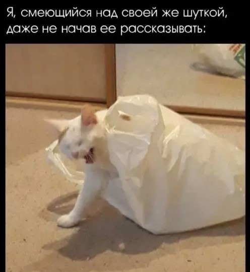 Картинки для деградации 191 (разной степени свежести)