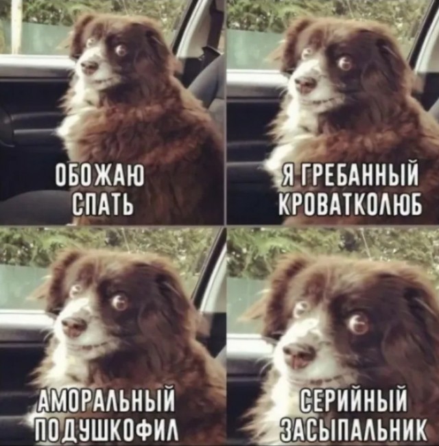 Капля юмора. Продолжение