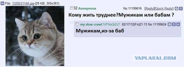 Вся суть сайтов знакомств и их участников