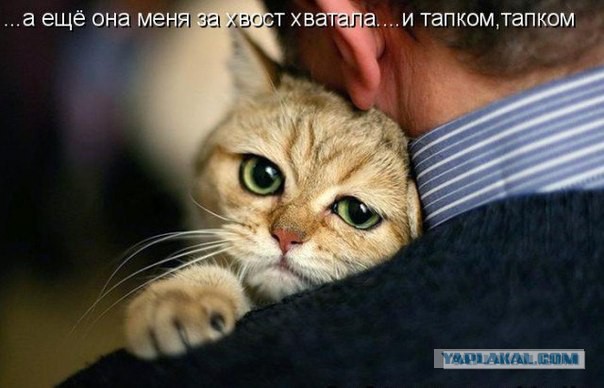О независимости..