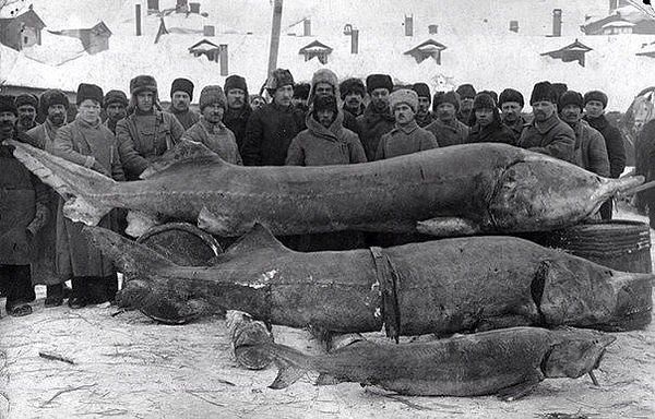 Немного картинок с просторов...