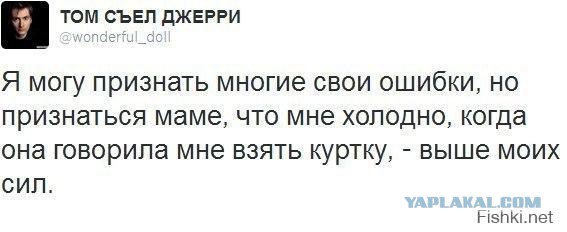 Смешные комментарии из социальных сетей