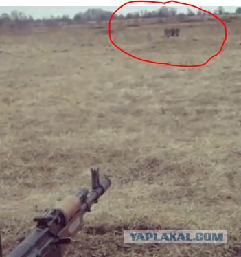 Тренировка ХЕРоев...