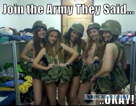 Он их раскусил