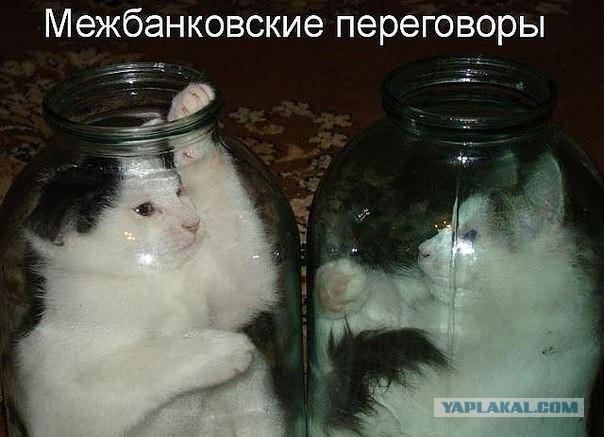 Смешные комментарии 19.07.2015