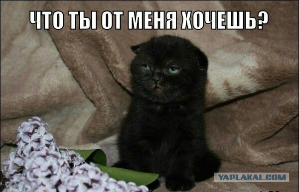 Нет рекламе, обзывающей пользователей нищебродами