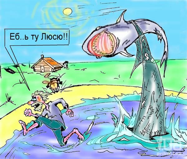 Австралиец забил насмерть акулу оторванной ногой