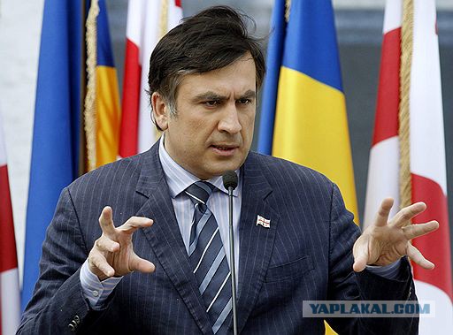 Саакашвили на концерте