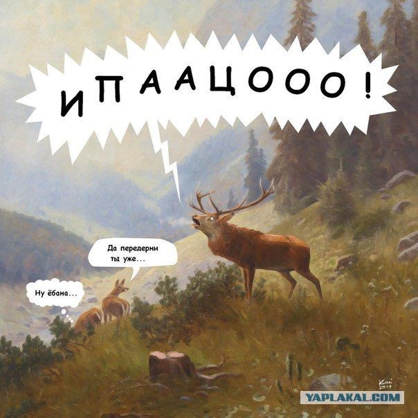 Пляски с толстозадой барышней на дискотеке в гетто