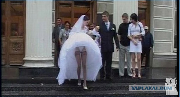 Свадьба это весело - 4. Смотрим картинки.