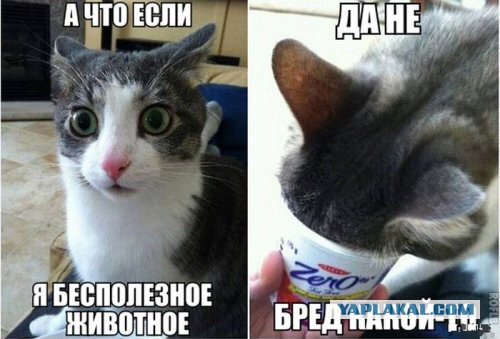 Картинки из ваших этих итернетов...2